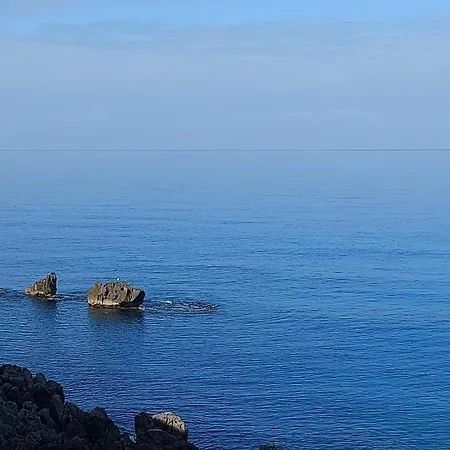 Marina House 度假居 *